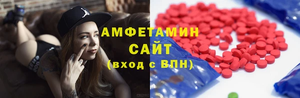 мет Алексин