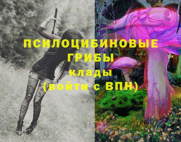 прущий лед Абаза